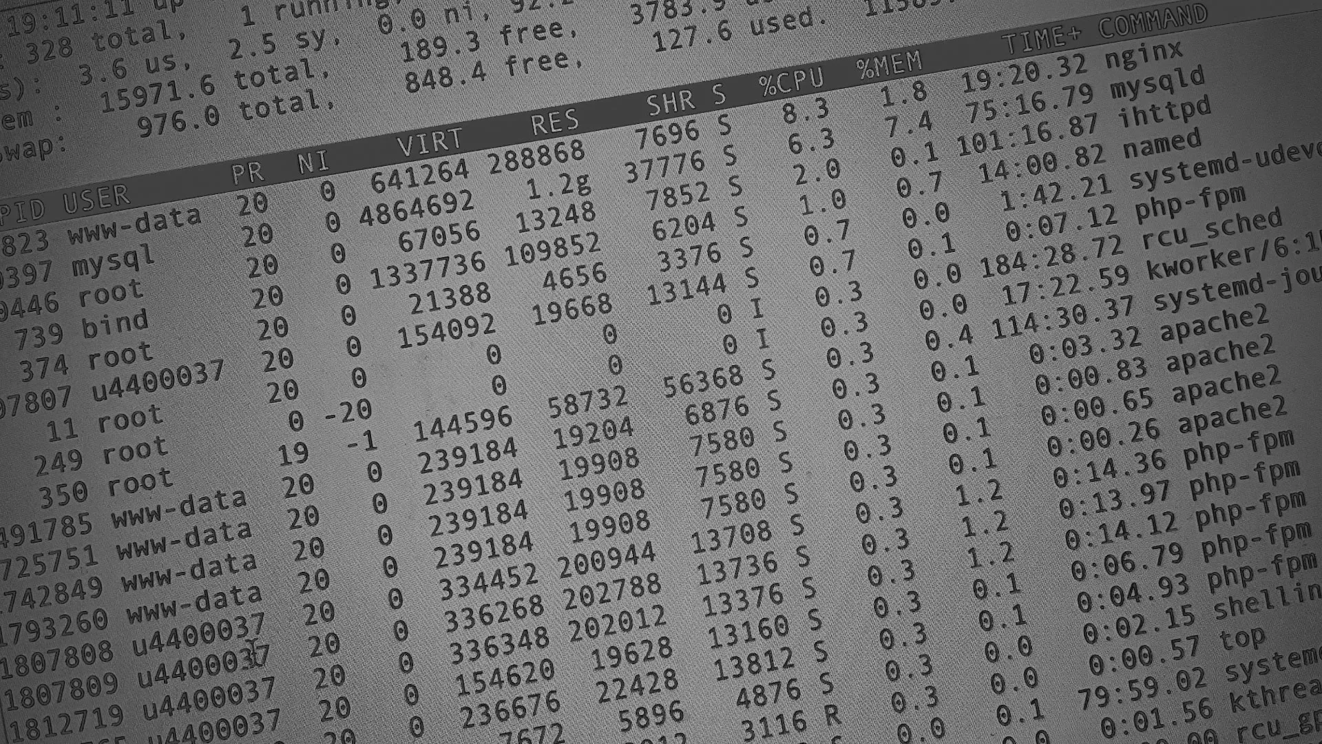 Настройка сервера в Кудрово